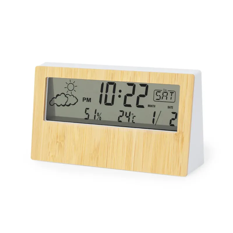 Weather Station - Roamer