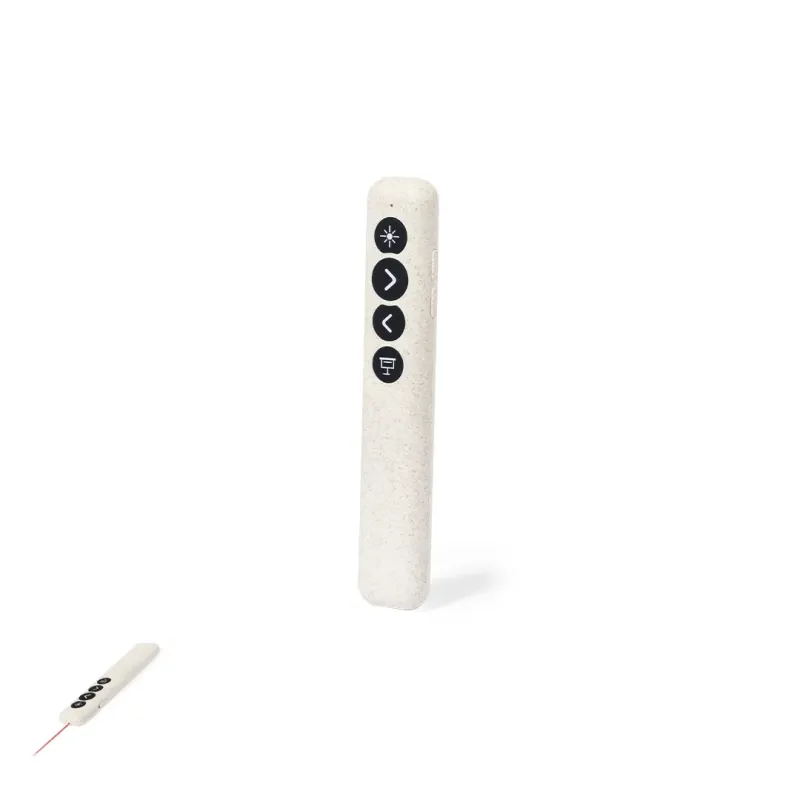 Presenter Laser Pointer - Lesi