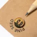 Seeds Pencil - Etesio