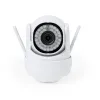 WHITE  +