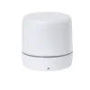 WHITE  +
