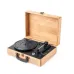 Record Player - Vinilux