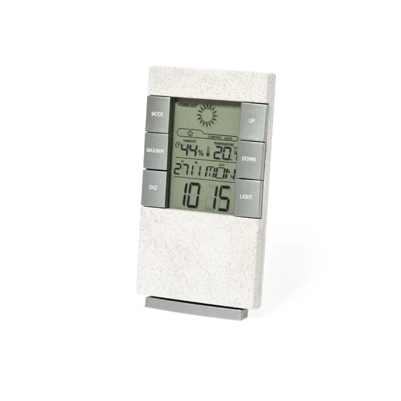 Weather Station - Maginly