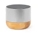 Speaker - Lops
