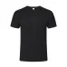 Adult Colour T-Shirt - Seiyo