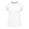 WHITE  +