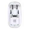 WHITE  +