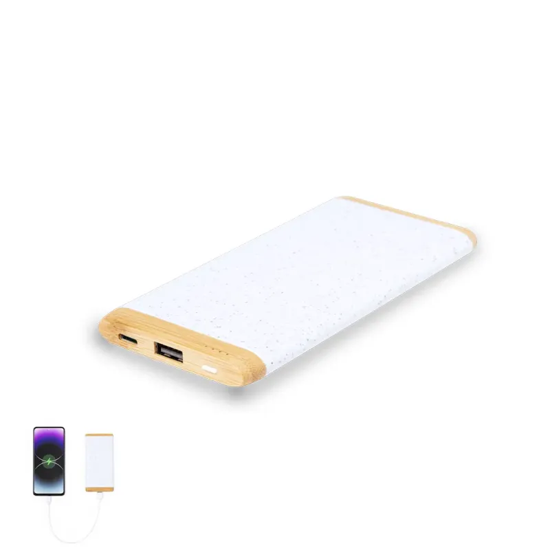 Power Bank - Coquin