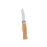 Pocket Knife - Terral