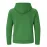 Adult Hooded Sweatshirt - Dretius