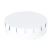 WHITE  +
