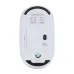 Mouse - Doryt RCS