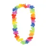 RAINBOW  +