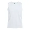 WHITE  +