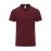 Adult Colour Polo Shirt - Chaplin