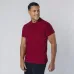 Adult Colour Polo Shirt - Chaplin