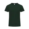 GREEN BOTTLE  +