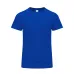 Adult Colour T-Shirt - Perkins