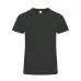 Adult Colour T-Shirt - Perkins