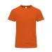Adult Colour T-Shirt - Perkins