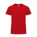 Adult Colour T-Shirt - Perkins