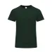 Adult Colour T-Shirt - Perkins