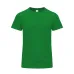 Adult Colour T-Shirt - Perkins