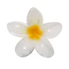 FLOWER  +