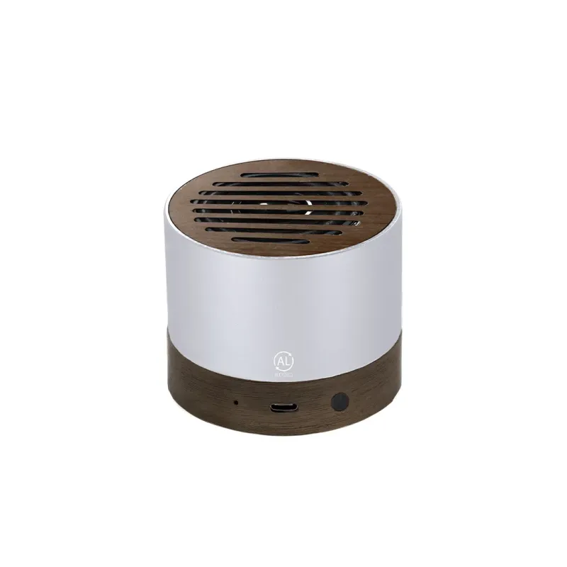 Speaker - Kolin