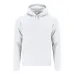 Adult Sweatshirt - Draco