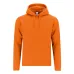 Adult Sweatshirt - Draco