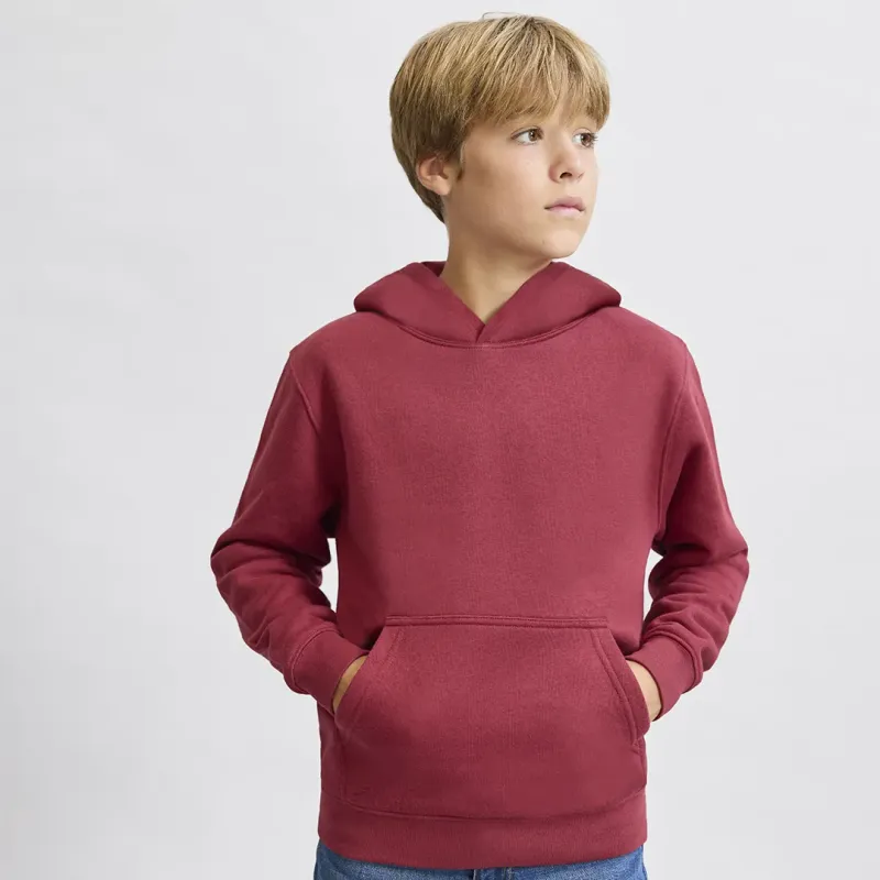 Kids Sweatshirt - Draco