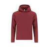 BURGUNDY  +