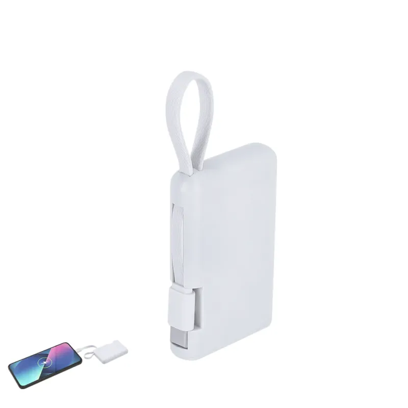 Power Bank - Brandin