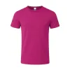 FUCHSIA  +