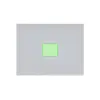 Area 1 (2.5×2cm)  +