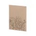 Seeds Packet - Balvor