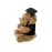Teddy - Kamor