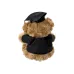 Teddy - Kamor