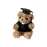 Teddy - Kamor