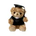 Teddy - Kamor