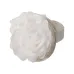 Exfoliating Sponge - Worin