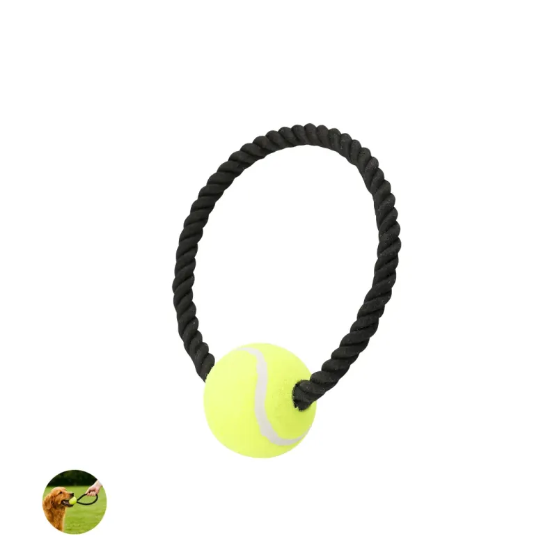 Dog Chew Toy - Xekar