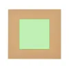 Area 3 (10×10cm)  +