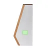 Area 2 (2.5×2cm)  +
