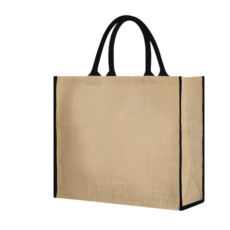 Bag - Vasan