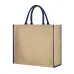 Bag - Vasan