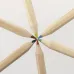 Pencil Set - Osprey