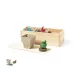 Garden Kit - Mendrax
