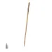 Walking Pole - Tamdar